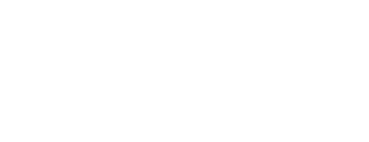 Branded Pickleball